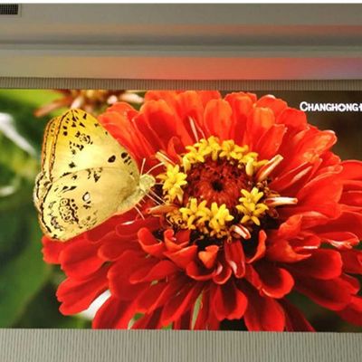 Petit lancement 2mm de pixel D'installation facile polychrome d'intérieur d'affichage à LED pour des salons commerciaux